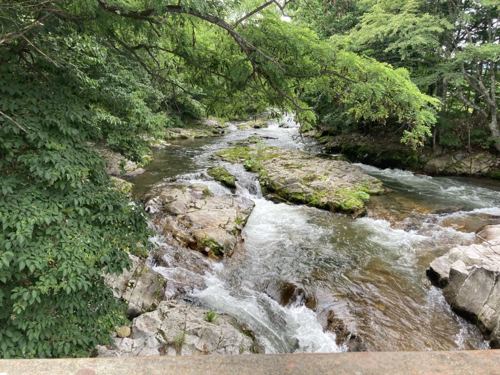 水力発電の価値 水力発電について 日本発電株式会社